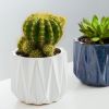 (2 pack) Pottery 5" Devi Round Ceramic Planter, White